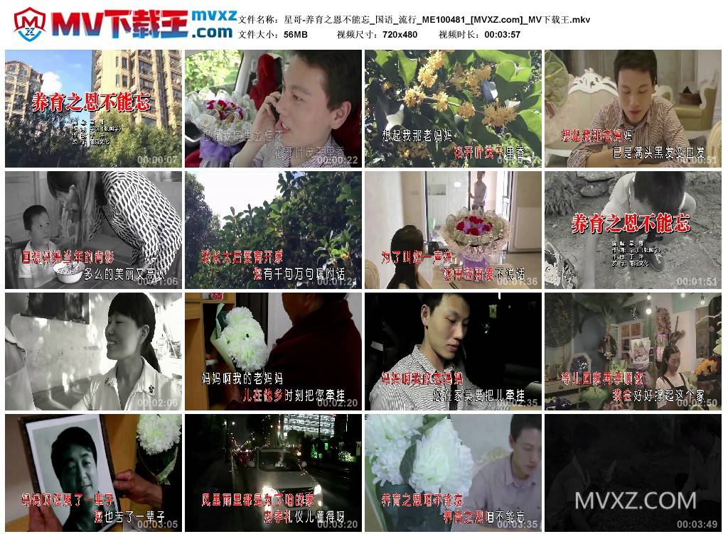 星哥-养育之恩不能忘_国语_流行_ME100481